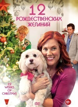 12 Wishes of Christmas movie in Peter Sullivan filmography.