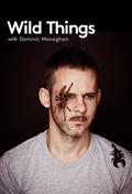 Wild Things with Dominic Monaghan movie in Paul Kilback filmography.