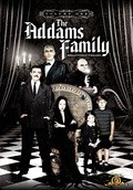 The Addams Family is the best movie in John Astin filmography.