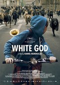 Fehér isten movie in Kornél Mundruczó filmography.