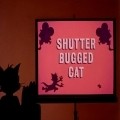 Shutter Bugged Cat movie in Mel Blanc filmography.