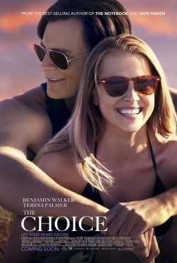 The Choice is the best movie in Teresa Palmer filmography.