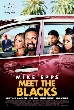 Meet the Blacks is the best movie in DeRay Davis filmography.