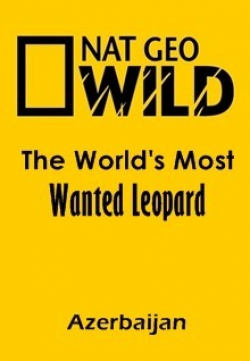 The World's Most Wanted Leopard (Azerbaijan) is the best movie in Adrian Steirn filmography.