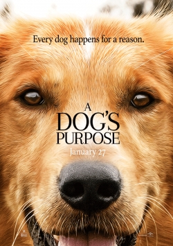 A Dog's Purpose movie in Lasse Hallstrom filmography.
