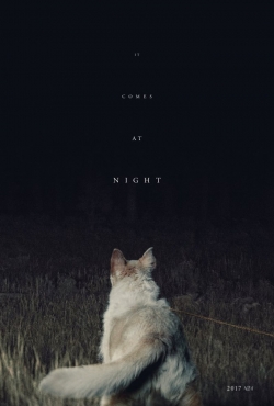 It Comes at Night movie in Trey Edward Shults filmography.