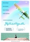 Meteoidiot is the best movie in Elene Bezarashvili filmography.