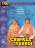 Chameli Ki Shaadi movie in Basu Chatterjee filmography.
