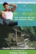 Finding Mr. Wright movie in Nancy Criss filmography.