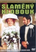 Slameny klobouk movie in Josef Kemr filmography.