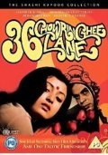 36 Chowringhee Lane movie in Aparna Sen filmography.