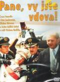 Pane, vy jste vdova! is the best movie in Vladimir Mensik filmography.