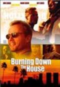 Burning Down the House movie in James Wilder filmography.