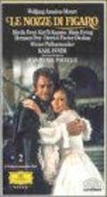 Le nozze di Figaro is the best movie in John van Kesteren filmography.