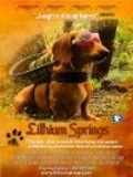 Lithium Springs movie in Lee Perkins filmography.