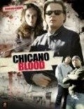 Chicano Blood movie in Damian Chapa filmography.