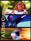 A Little Crazy is the best movie in Mitchell Edmonds filmography.