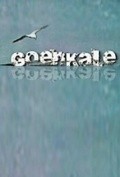 Goenkale  (serial 1994 - ...) movie in Barbara Goenaga filmography.
