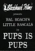 Pups Is Pups movie in Robert F. McGowan filmography.