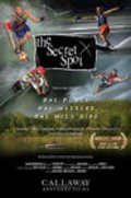 The Secret Spot is the best movie in Steve Davis filmography.