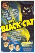 The Black Cat movie in Albert S. Rogell filmography.