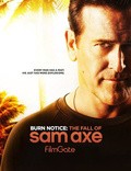 Burn Notice: The Fall of Sam Axe movie in Jeffrey Donovan filmography.