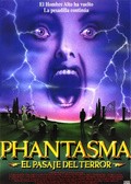 Phantasm movie in Don Coscarelli filmography.