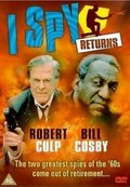 I Spy Returns is the best movie in Salli Richardson filmography.