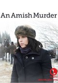 An Amish Murder movie in Stephen Gyllenhaal filmography.