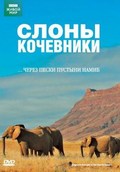 Elephant Nomads of the Namib Desert movie in Mike Birkhead filmography.