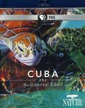 Cuba. The Accidental Eden movie in Nigel Cole filmography.