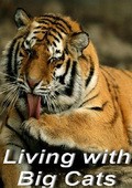 Living with Big Cats movie in Beverli Jyuber filmography.