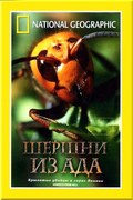 Hornets From Hell movie in National Geographic filmography.