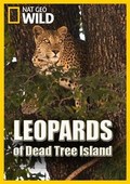 Leopards of Dead Tree Island movie in Michael Rotenberg filmography.