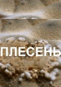 Plesen movie in Dmitri Vasilyev filmography.