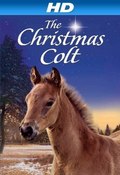 The Christmas Colt movie in Gregory Alosio filmography.