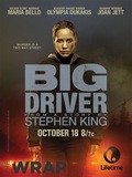 Big Driver movie in Mikael Salomon filmography.