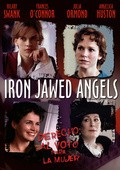 Iron Jawed Angels movie in Katja von Garnier filmography.