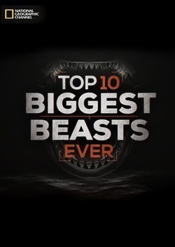 Top-10 Biggest Beasts Ever is the best movie in Rhys Jones filmography.