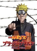 Gekijouban Naruto Shippuuden Movie 5: Blood Prison movie in Murata Masahiko filmography.
