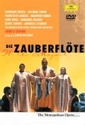 Die Zauberflote movie in Andreas Schmidt filmography.