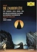 Die Zauberflote is the best movie in Jan-Hendrik Rootering filmography.