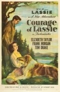 Courage of Lassie movie in Fred M. Wilcox filmography.