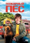 Firehouse Dog movie in Todd Holland filmography.