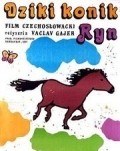 Divoky konik Ryn movie in Milos Nedbal filmography.