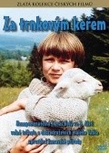 Za trnkovym kerem is the best movie in Tomas Holy filmography.