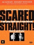 Scared Straight! movie in Arnold Shapiro filmography.