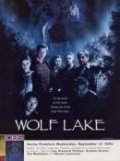 Wolf Lake is the best movie in Tim Matheson filmography.