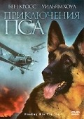 Finding Rin Tin Tin movie in Danny Lerner filmography.