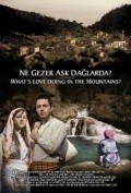 Ne gezer ask daglarda? is the best movie in Nurhayat Boz filmography.